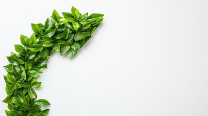 Green leaves forming a recycle arrow symbol on white background.