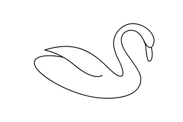 Elegant line drawing of a graceful swan