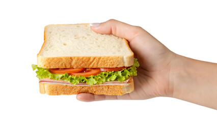 hand holding a ham and cheese sandwich with fresh lettuce, tomato, and cucumber on wheat bread