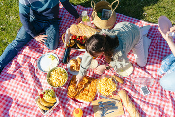 Family having a cheerful picnic on a red checkered blanket, enjoying a delicious savory pie, snacks, and fruits in a sunny park