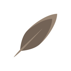 Vector illustration of a feather on white background.