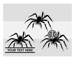 Spider SVG Silhouette Bundle, Spider Silhouette, Tarantula Svg, Animal Svg, Recluse spider Svg, Spider Png, Spider Svg Images, Cut Files