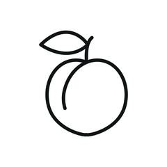 Clean line drawing of peach icon suitable for food packaging or botanical charts.