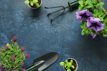 Composition with potted plants and gardening tools on color background