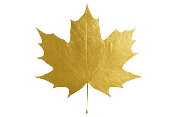 Obraz premium Realistic golden maple leaf on a transparent background, perfect for autumn designs and nature-themed projects