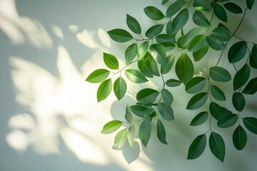 Organic Green Leaves Casting Shadows - Vibrant Plant Background for Serene Interior Design
