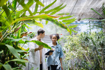 Young scientist team is conducting agricultural research in farm environment surrounded by lush...