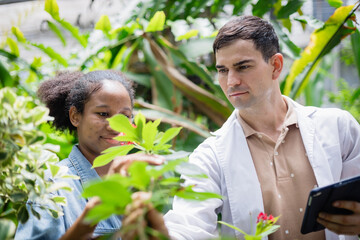 Young scientist and team member are conducting agricultural research in farm environment examining...