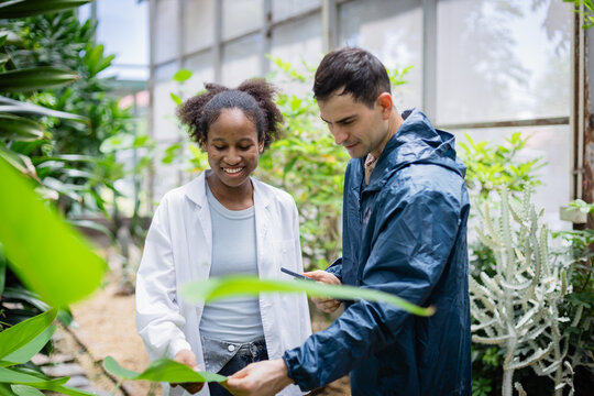 Young agricultural research team is working in farm greenhouse where scientist studies plant leaves with enthusiasm and collaboration in natural environment - Powered by Adobe