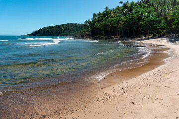 Deserted beach with clear waters in a deserted area of the coast of Bahia in Brazil
