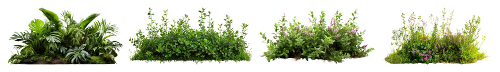 Obraz premium PNG Lush green garden foliage, element set on transparent background