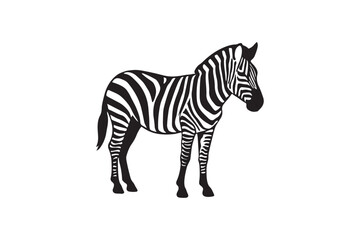 Fototapeta premium Zebra Line silhouette vector with white background