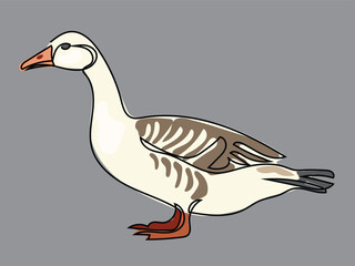 Goose in continuous line drawing style
