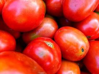 fresh red tomatoes