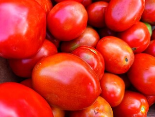 Vibrant Red Ripe Tomatoes: A Close-Up Harvest