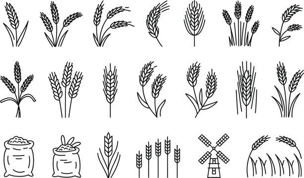 Simple black and white illustrations of wheat ears and farming elements in vector format