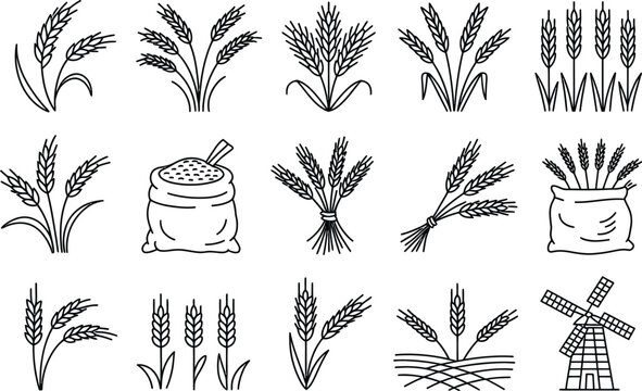 Collection of wheat and grain related illustrations suitable for design and agriculture theme projects