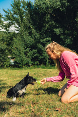 Pretty pet owner playing with dog Neon yellow badminton shuttlecock on green grass outdoors....