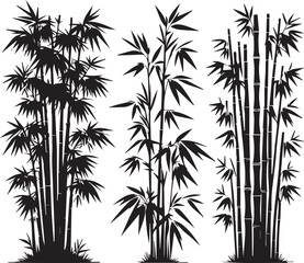 Obraz premium bamboo vector illustration, bamboo logo, bamboo silhouette vector isolated on white background