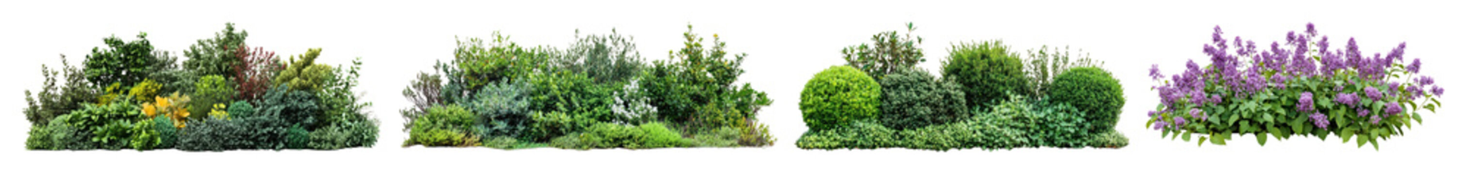 Fototapeta PNG Lush green garden elements, element set on transparent background