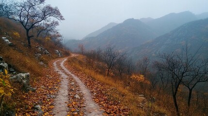 Autumnal mountain path winding through foliage. Misty landscape