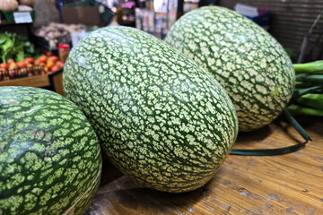 Fresh Winter Melons "Wax Gourds" on Display at a Local Farmer's Market in Penang.
