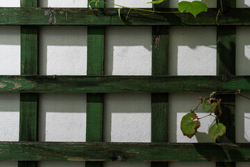 Old Wooden Green Frame