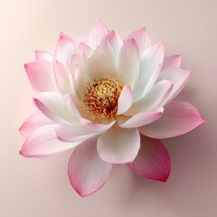 Elegant Pink Lotus Flower with Delicate Petals and Radiant Center on Soft Background for Nature and Beauty Themes
