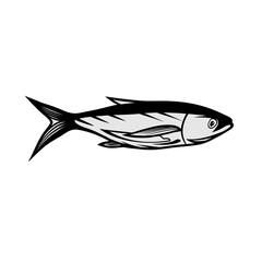 side view of ocean fish vector illustration
