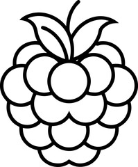raspberry fruit outline vector illustration – healthy food icon
