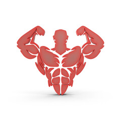 Body Build Gym Exercise Health Equipment Isolated on Transparent Background