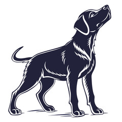 silhouette dog on white background