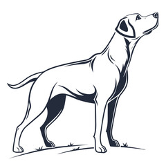 silhouette dog on white background