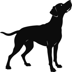 silhouette dog on white background