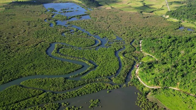 Aerial view of winding mangrove rivers surrounded by lush greenery and hills during daytime - Bato, Catanduanes, Bicol, Philippines