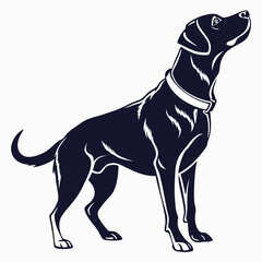 silhouette dog on white background