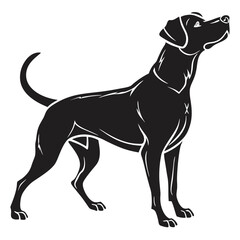 silhouette dog on white background