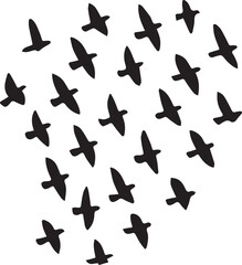  Brids silhouette Vector | Minimalist & Trendy Brids Silhouette Design | Unique & Stylish Brids Artwork for Vector design
