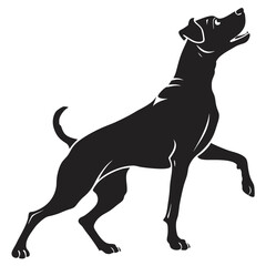 silhouette dog on white background