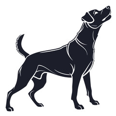 silhouette dog on white background