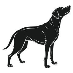 silhouette dog on white background
