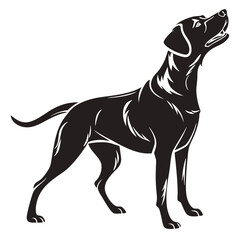 silhouette dog on white background
