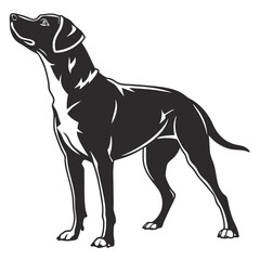 silhouette dog on white background