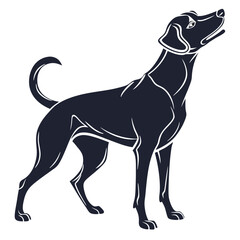 silhouette dog on white background