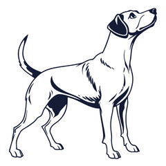 silhouette dog on white background