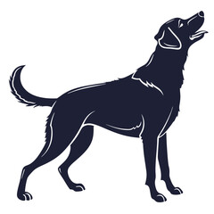 silhouette dog on white background