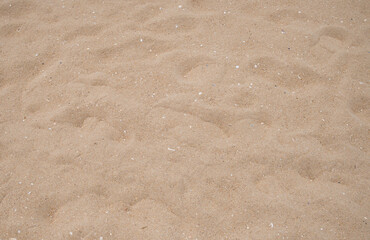 Sand texture background. Close up of beach sand.