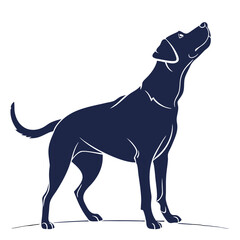 silhouette dog on white background