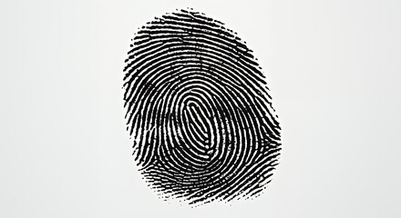 Fingerprint Scan on White Background