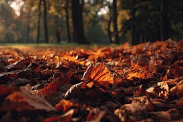 Autumn's Golden Carpet in Forest Undergrowth